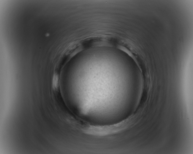 X0000086030041200703301104