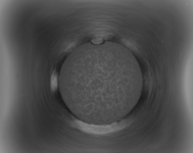 X0000086030042200703301104