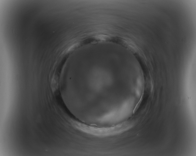 X0000086030043200703301104