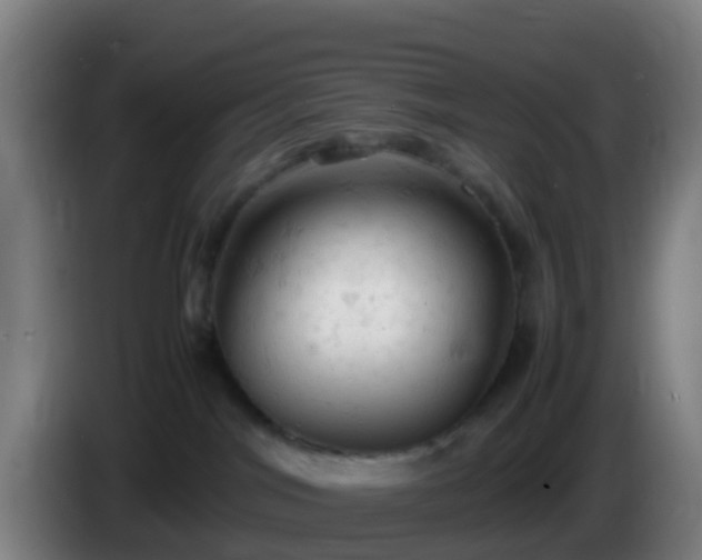 X0000086030044200703301104