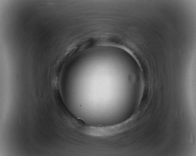 X0000086030045200703301104