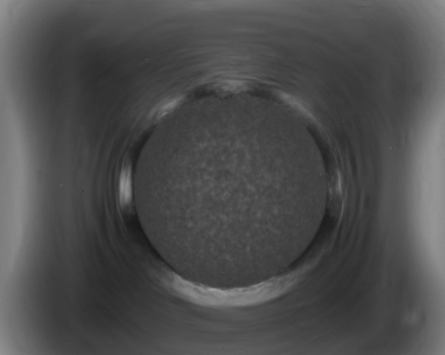 X0000086030046200703301104