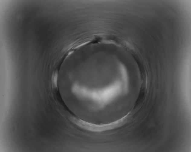 X0000086030047200703301104