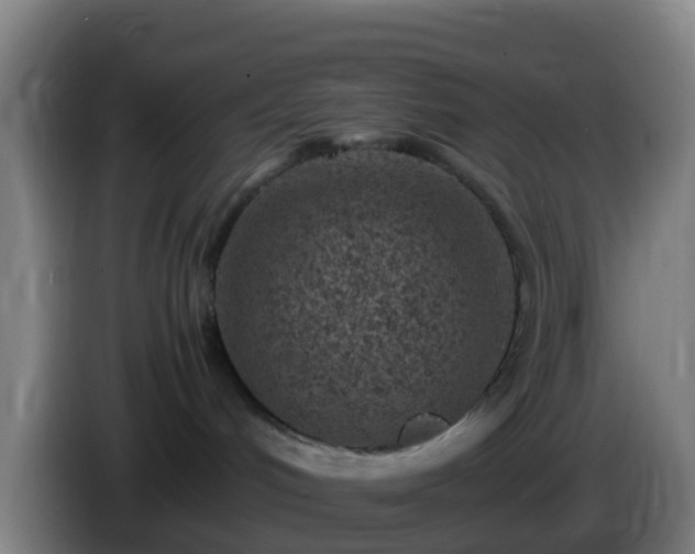 X0000086030048200703301103