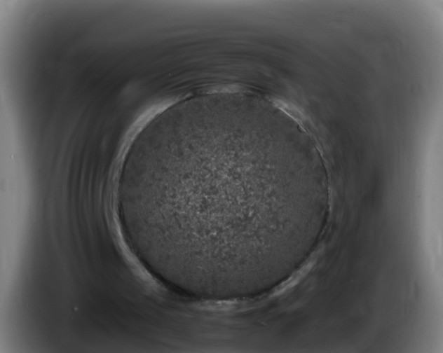 X0000086030049200703301103