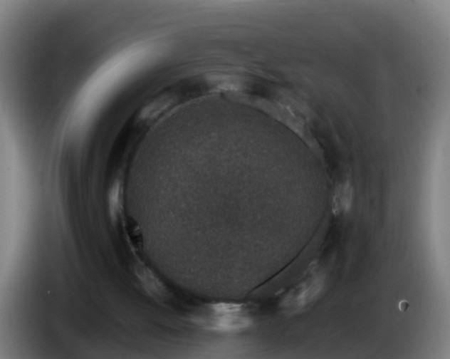 X0000086030052200703301103