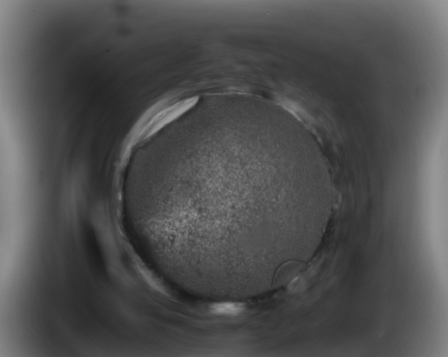 X0000086030053200703301103