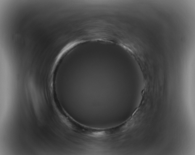 X0000086030054200703301103