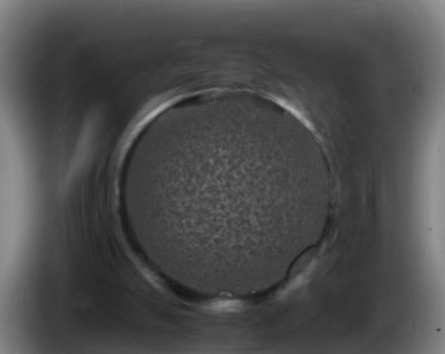 X0000086030055200703301103