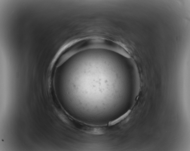 X0000086030056200703301103