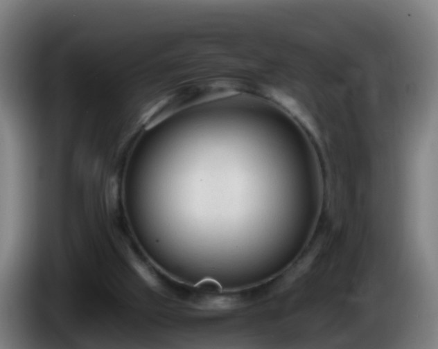 X0000086030057200703301103