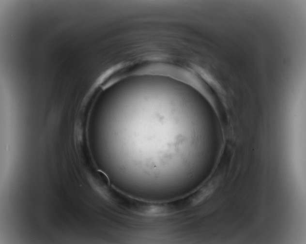 X0000086030060200703301103