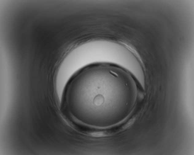 X0000086030061200703301103