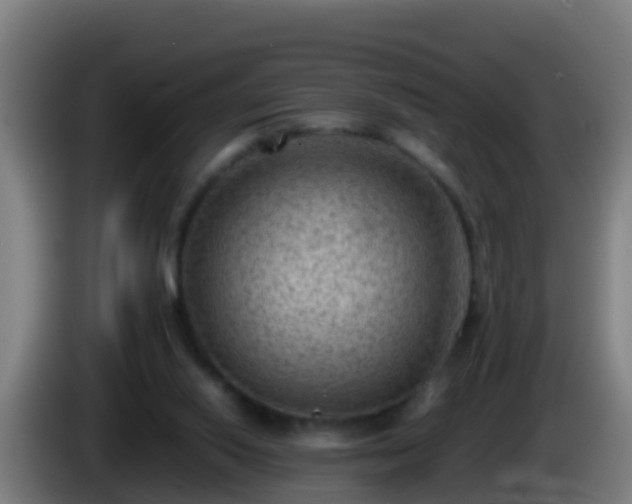 X0000086030062200703301103