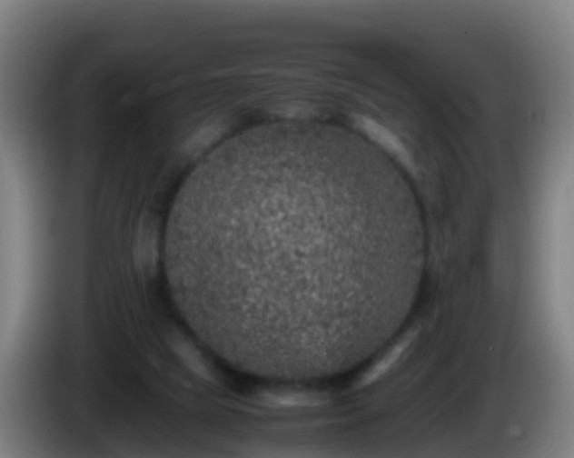 X0000086030065200703301103