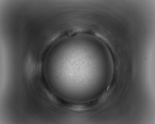 X0000086030066200703301103