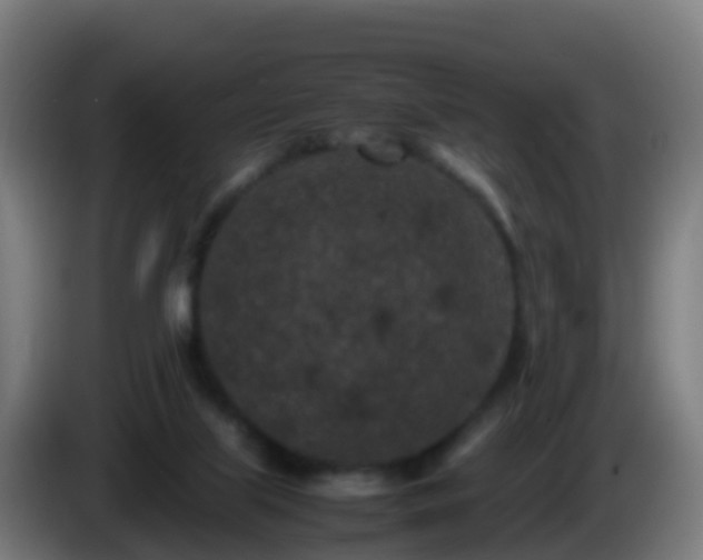 X0000086030067200703301103