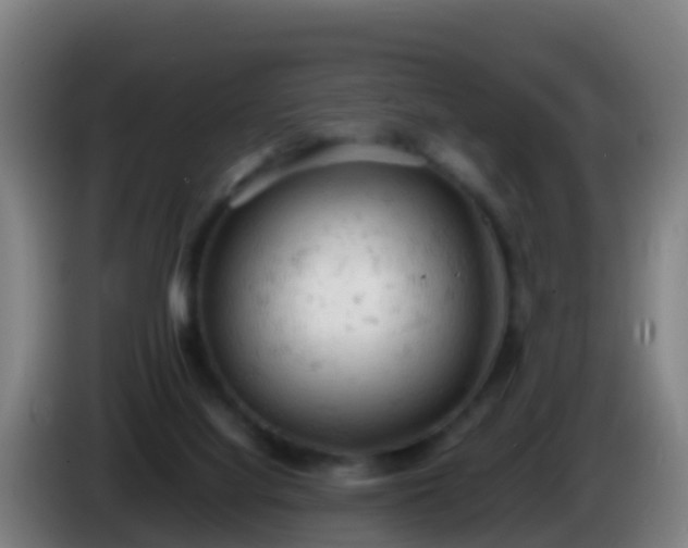 X0000086030068200703301103