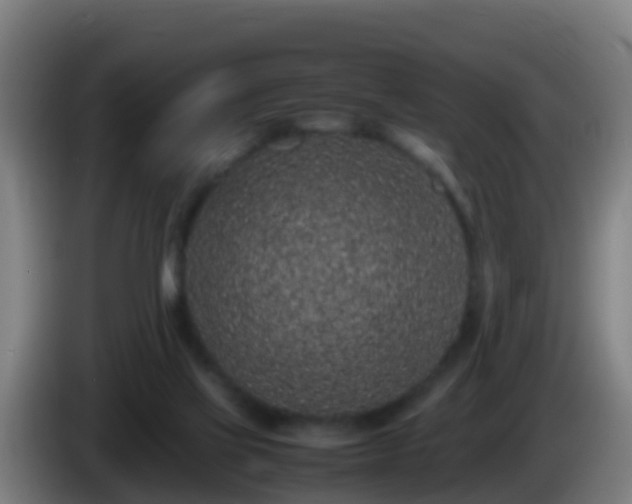 X0000086030069200703301103