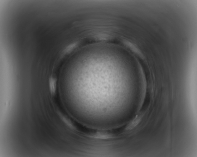 X0000086030070200703301103