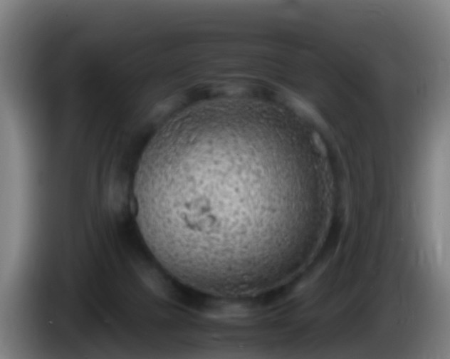 X0000086030073200703301103