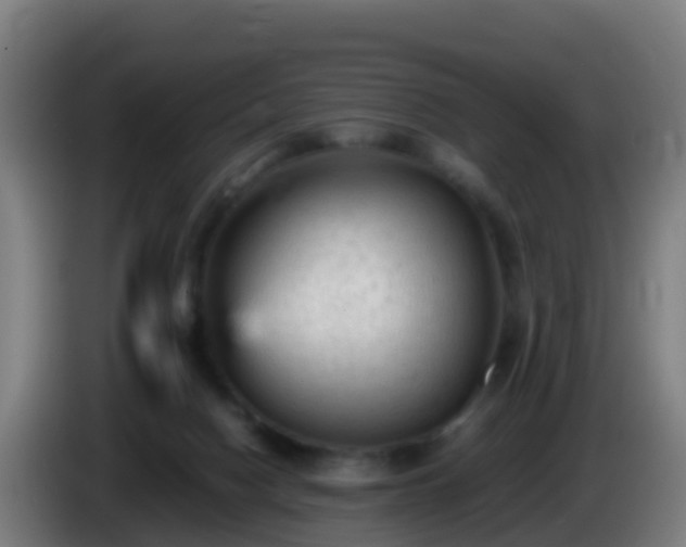 X0000086030074200703301103