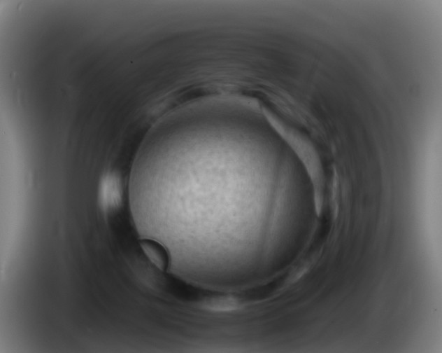 X0000086030075200703301103