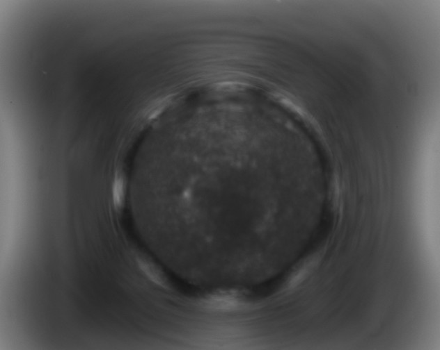 X0000086030076200703301103