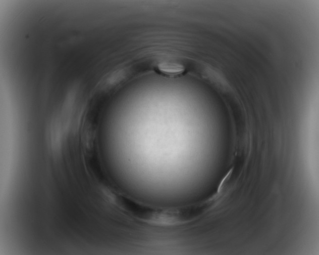 X0000086030078200703301103