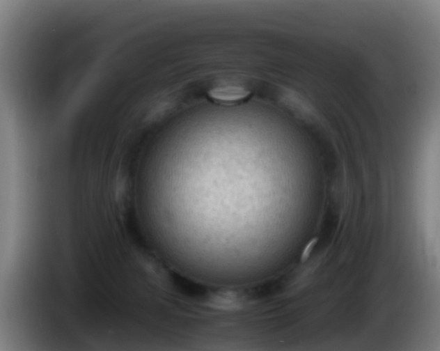 X0000086030079200703301103