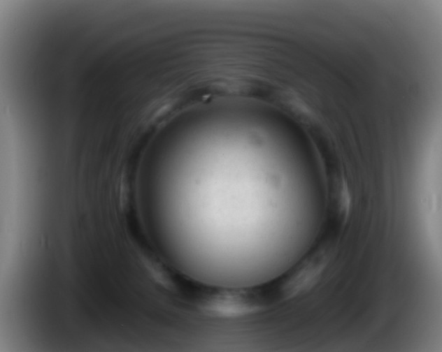 X0000086030080200703301103