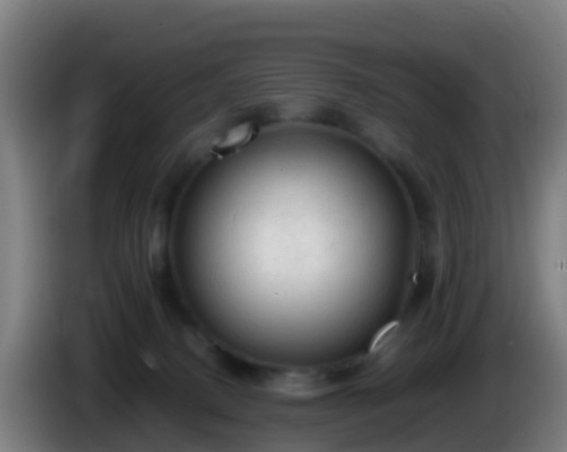 X0000086030082200703301103