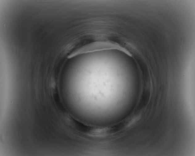 X0000086030084200703301103