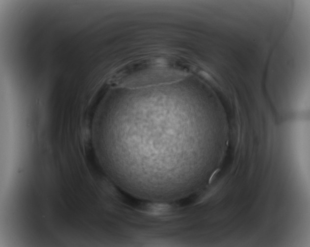 X0000086030085200703301103