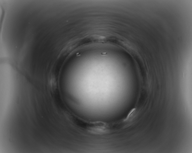 X0000086030086200703301103