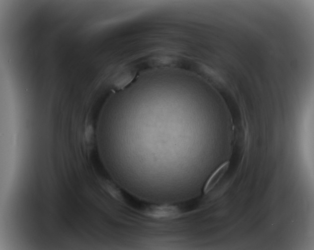 X0000086030087200703301103