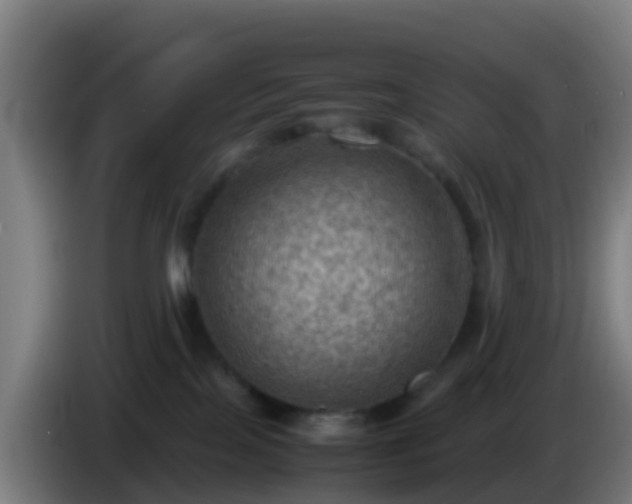 X0000086030089200703301103