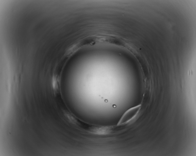 X0000086030094200703301103