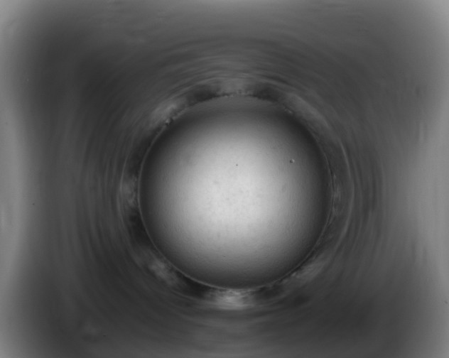 X0000086030096200703301103