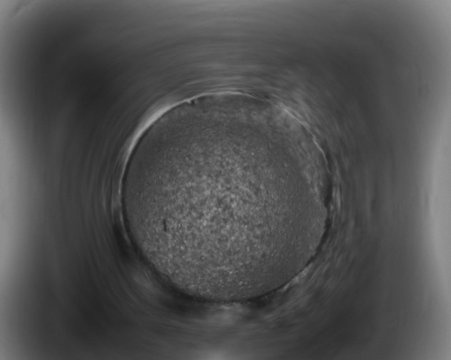 X0000086030099200703301103