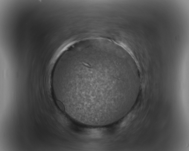 X0000086030103200703301103