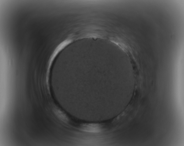 X0000086030104200703301103