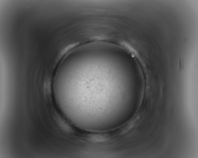 X0000086030106200703301103