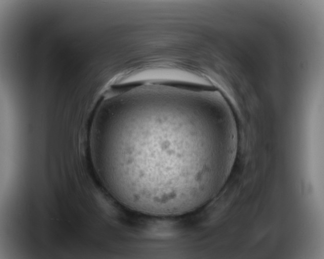 X0000086030107200703301103