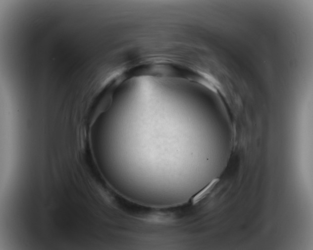 X0000086030109200703301103