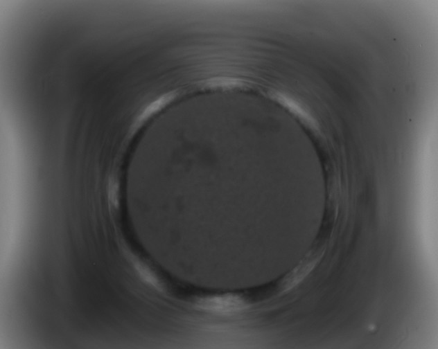 X0000086030112200703301103