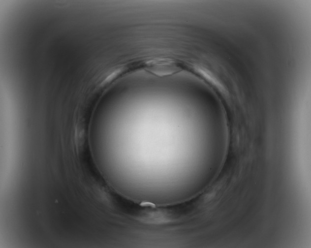 X0000086030113200703301103