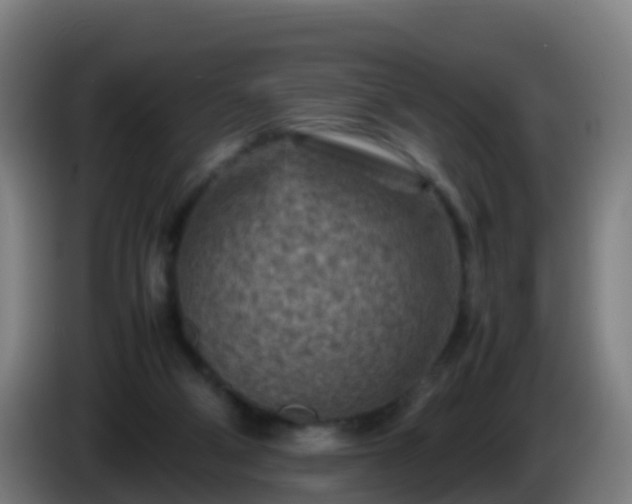 X0000086030114200703301103