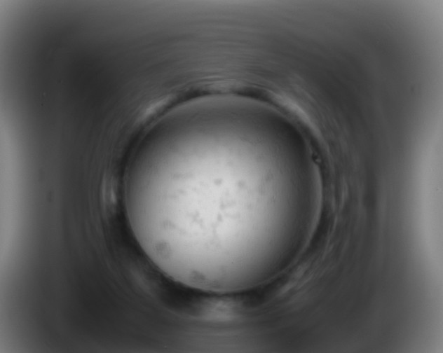 X0000086030115200703301103