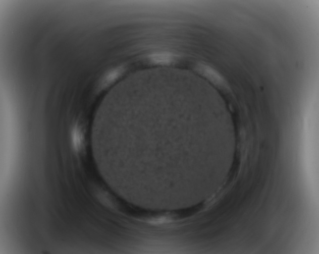 X0000086030116200703301103